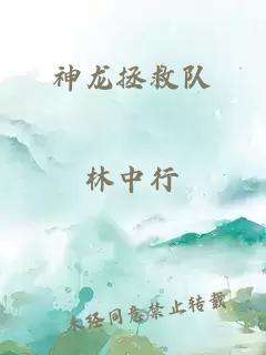 神龙拯救队