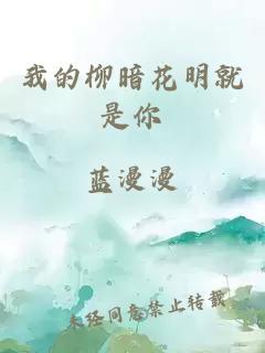 我的柳暗花明就是你