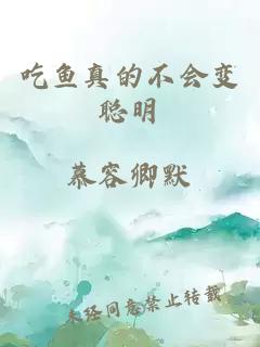 吃鱼真的不会变聪明