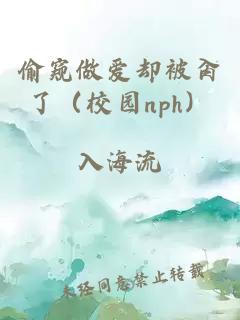 偷窥做爱却被肏了（校园nph）