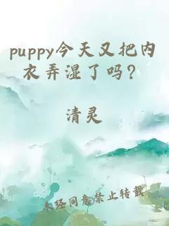 puppy今天又把内衣弄湿了吗？