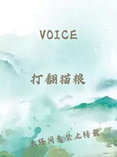 VOICE