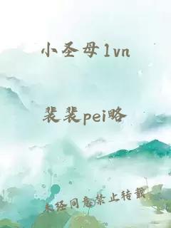 小圣母1vn