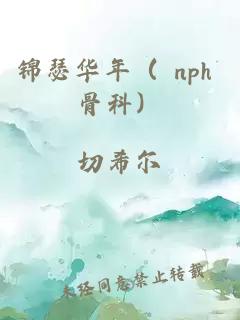 锦瑟华年（ nph 骨科）