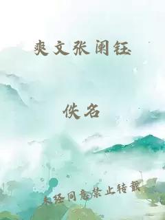 爽文张阑钰