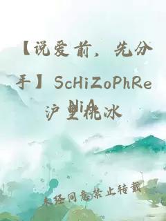 【说爱前，先分手】ScHiZoPhReNiA