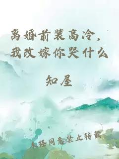 离婚前装高冷，我改嫁你哭什么