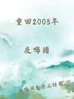 重回2003年