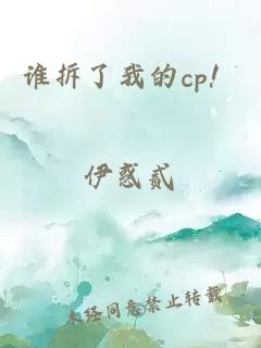 谁拆了我的cp！