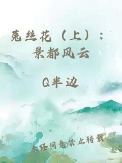 菟丝花（上）：景都风云