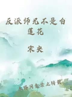 反派师兄不是白莲花