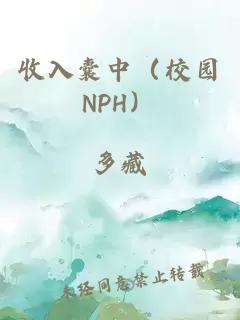 收入囊中（校园NPH）