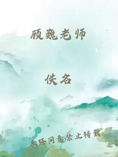 顾巍老师