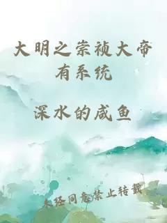 大明之崇祯大帝有系统