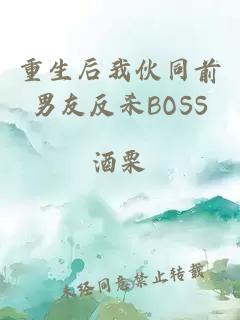 重生后我伙同前男友反杀BOSS