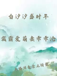 白汐汐盛时年