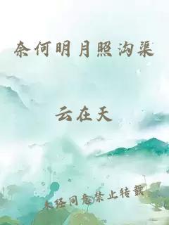 奈何明月照沟渠