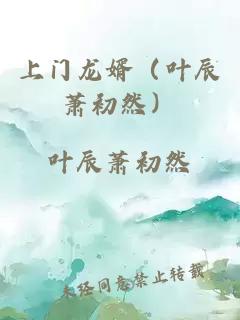 上门龙婿（叶辰萧初然）