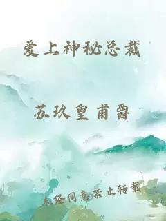 爱上神秘总裁