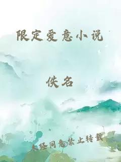 限定爱意小说