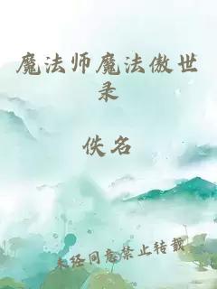 魔法师魔法傲世录