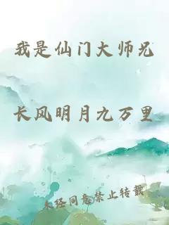 我是仙门大师兄