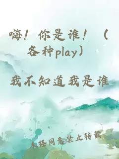 嗨！你是谁！（各种play）